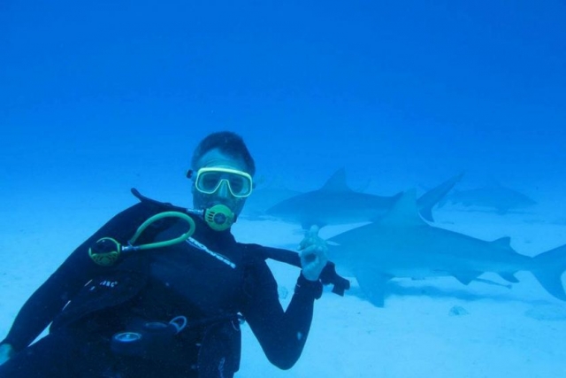  Diving with sharks 
